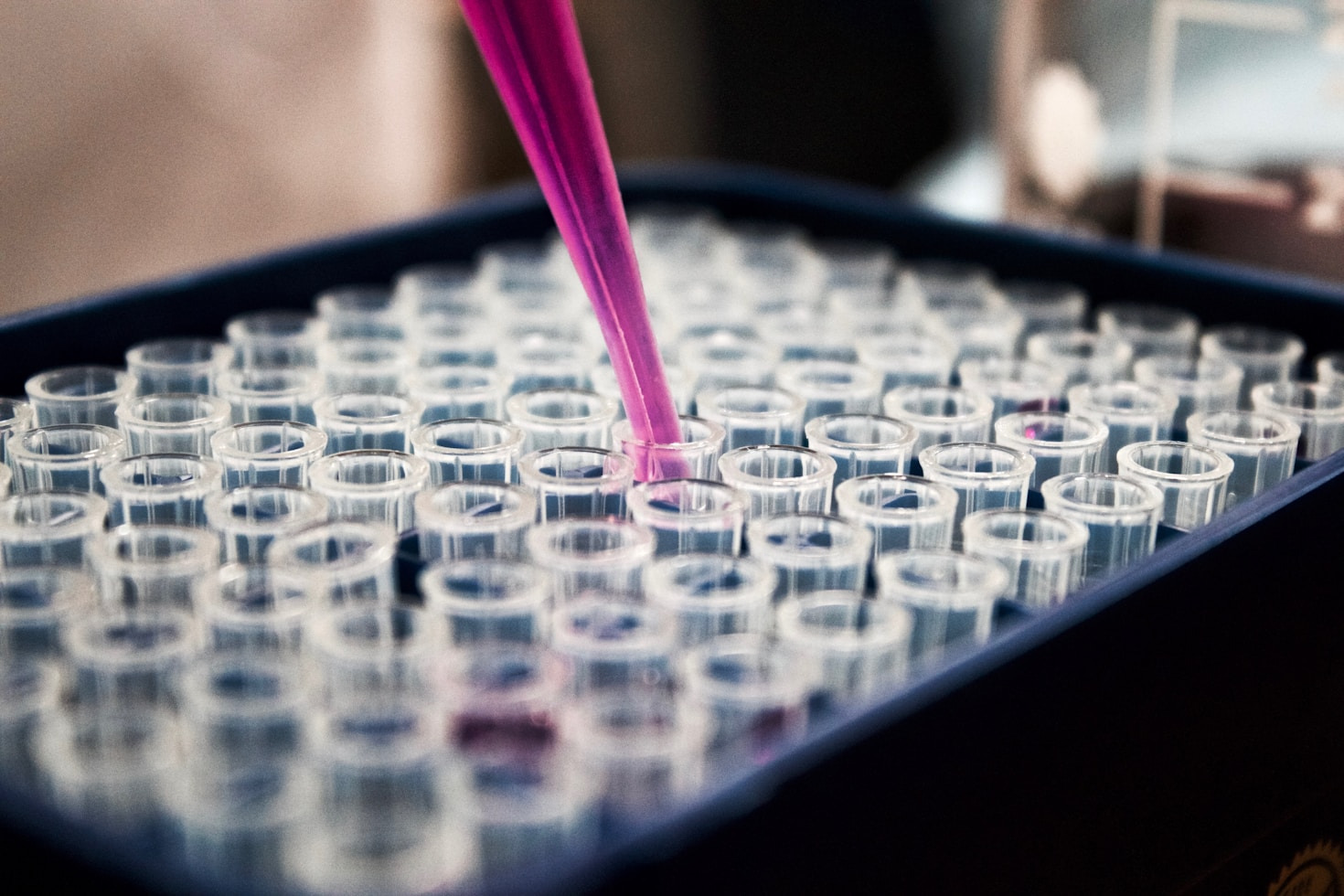 How Genetics Shapes the World Around Us