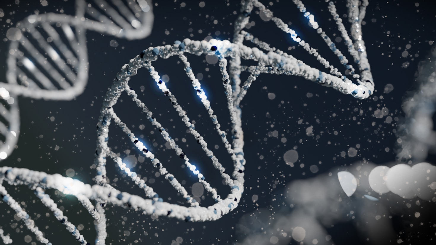 The Role of DNA in Understanding Life