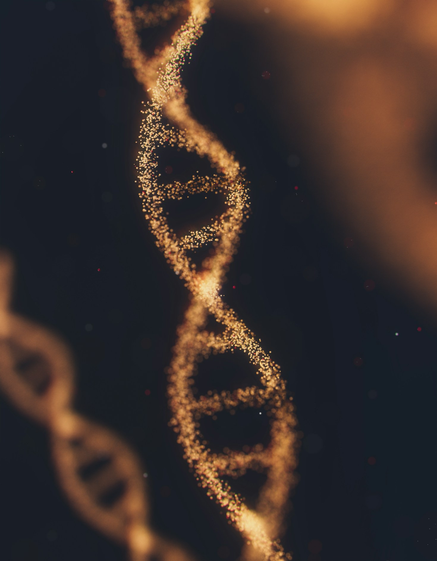 Exploring Genetic Diversity Across Species